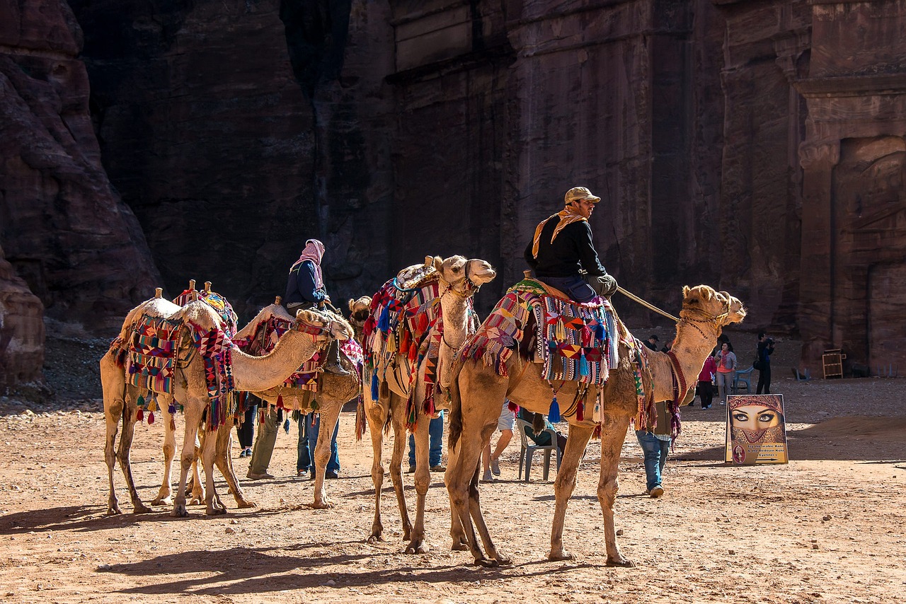The perfect travel partner wherever you go